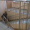 Лестничные ограждения для школы и детского сада в г. В.Пышма