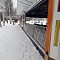 Ограждения с калитками. Екатеринбургский центральный парк культуры и отдыха имени В.В. Маяковского